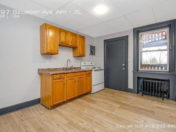 Foto 1 de apartamento ubicada en 197 Belmont Ave Apt 3L