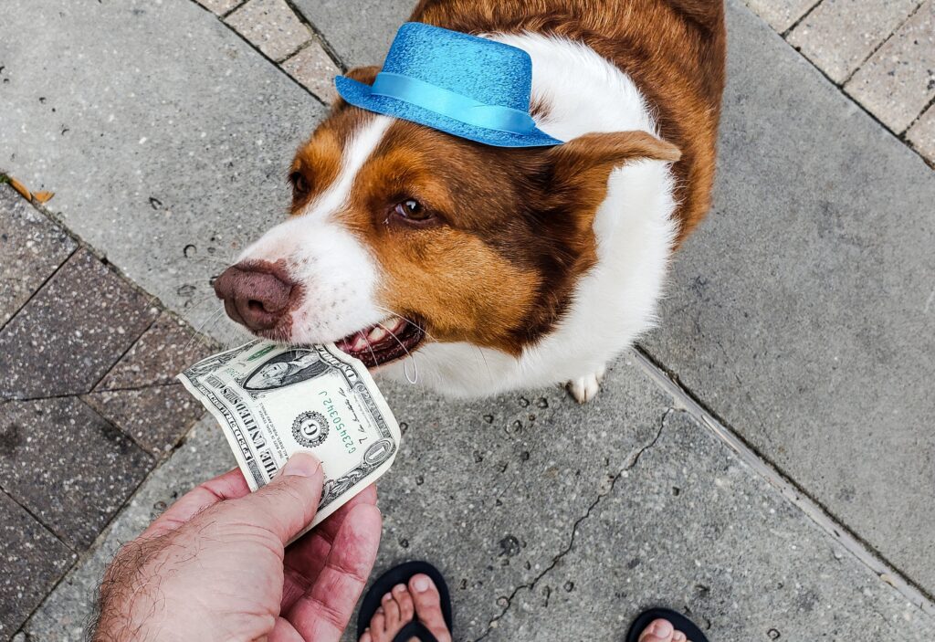 Hombre entregandole un billete de dolar a un perro